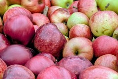 PXL_20251001_164009182.ACTION_PAN-01.COVER2_