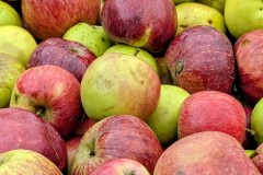 PXL_20251001_164012619.ACTION_PAN2