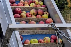 PXL_20251001_164019604.ACTION_PAN-02.ORIGINAL2