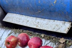 PXL_20251001_164034926.ACTION_PAN-02.ORIGINAL2