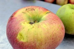 PXL_20251001_164248310.PORTRAIT2