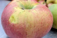 PXL_20251001_164251259.PORTRAIT2