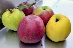 PXL_20251001_164538904.PORTRAIT2