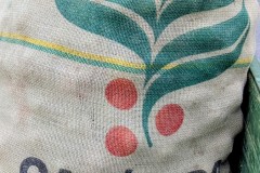 PXL_20251001_165002005.ACTION_PAN2