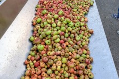 PXL_20251001_165054549.ACTION_PAN-02.ORIGINAL3