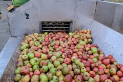 PXL_20251001_165130204.ACTION_PAN-01.COVER2_