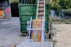 PXL_20251001_170132950.ACTION_PAN-01.COVER2_