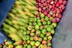 PXL_20251001_170458788.ACTION_PAN-01.COVER2_