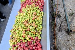 PXL_20251001_170510706.ACTION_PAN-01.COVER2_