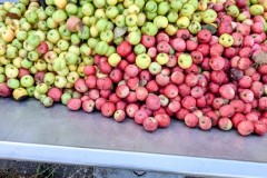 PXL_20251001_170517281.ACTION_PAN-02.ORIGINAL2