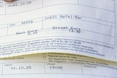 PXL_20251001_1709395662