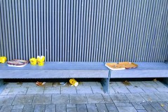 IMG_20191212_150402388