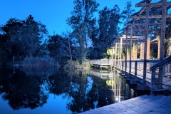 PXL_20250906_182814083.NIGHT2_