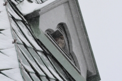 Pfullingen 02.04.2022