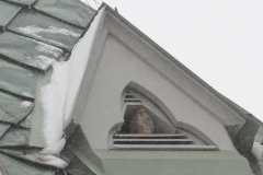 Pfullingen 02.04.2022