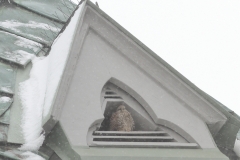 Pfullingen 02.04.2022