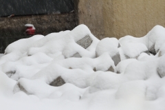 Pfullingen 02.04.2022