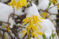 Pfullingen 02.04.2022