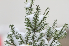 Pfullingen 02.04.2022