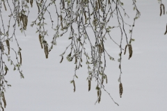 Pfullingen 02.04.2022