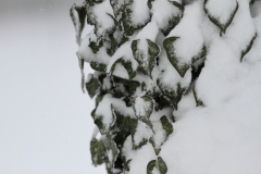 Pfullingen 02.04.2022