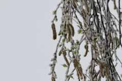 Pfullingen 02.04.2022