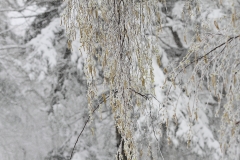 Pfullingen 02.04.2022