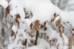 Pfullingen 02.04.2022