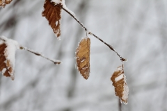 Pfullingen 02.04.2022