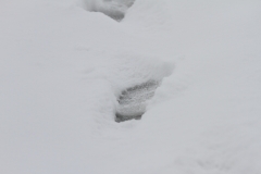 Pfullingen 02.04.2022