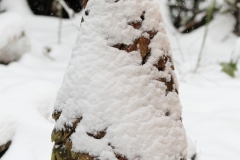 Pfullingen 02.04.2022