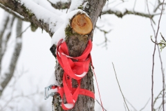 Pfullingen 02.04.2022