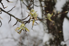 Pfullingen 02.04.2022