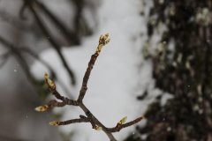 Pfullingen 02.04.2022