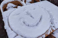 IMG_20220402_1138580252