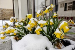 IMG_20220402_1143287702