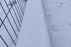 IMG_20220402_1144161852