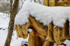 IMG_20220402_162307889_PORTRAIT2