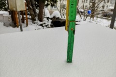 IMG_20220402_1720487672