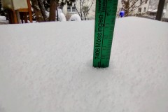 IMG_20220402_1721294882