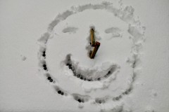 IMG_20220402_1723031602