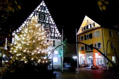 IMG_20201127_203459745