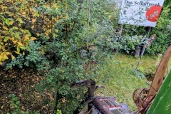 PXL_20251010_1614233032