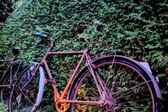 PXL_20251010_170638813.NIGHT2_