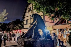 PXL_20250912_184633056.NIGHT2_