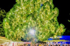 PXL_20260912_204801720.NIGHT2_