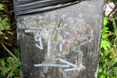 PXL_20230518_1524254342