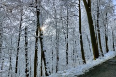 IMG_20201226_101834366_HDR