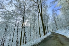 IMG_20201226_101843088_HDR