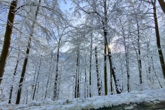 IMG_20201226_101846252_HDR